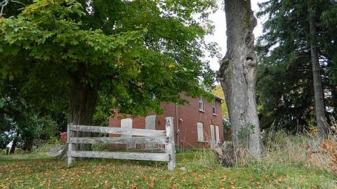 Early Peelies - Nature-Centre-House30.jpg