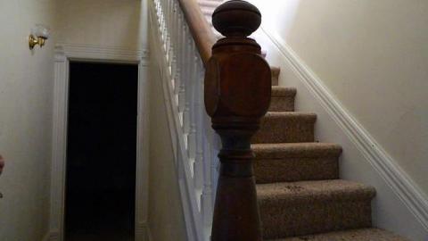 Early Peelies - Nature-Centre-House22.jpg