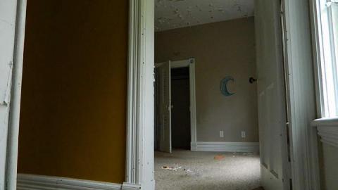 Early Peelies - Nature-Centre-House24.jpg