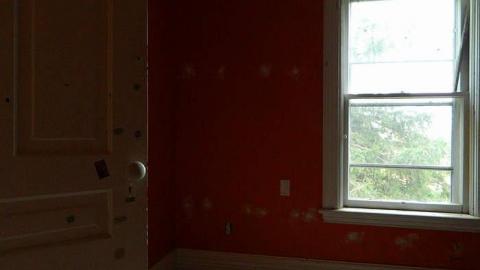 Early Peelies - Nature-Centre-House31.jpg