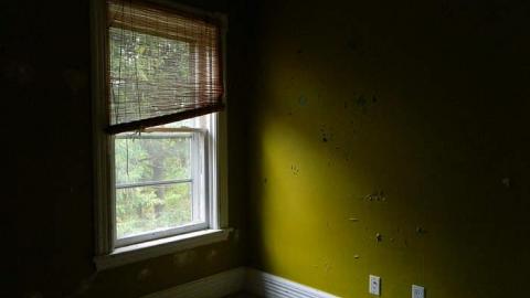 Early Peelies - Nature-Centre-House28.jpg