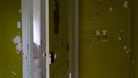 Early Peelies - Nature-Centre-House43.jpg