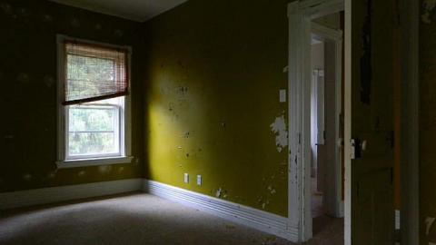 Early Peelies - Nature-Centre-House64.jpg