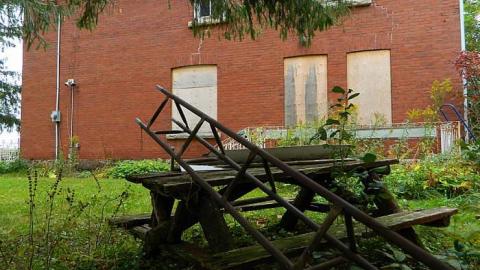 Early Peelies - Nature-Centre-House39.jpg