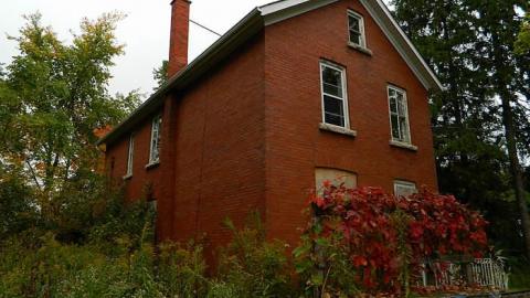 Early Peelies - Nature-Centre-House41.jpg