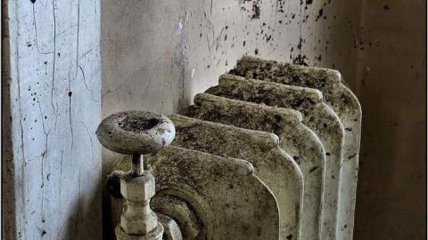 Welcome to Canada, c.1898 - Welcome to Canada c.1898 40.jpg