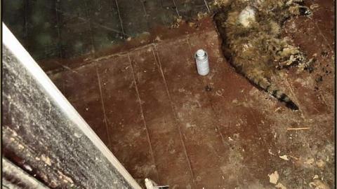 Welcome to Canada, c.1898 - Welcome to Canada c.1898 55.jpg