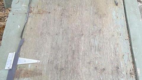 Christmas Time (Yet no snow) - Dont-Rent-a-Car5.jpg