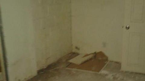 Christmas Time (Yet no snow) - Dont-Rent-a-Car15.jpg