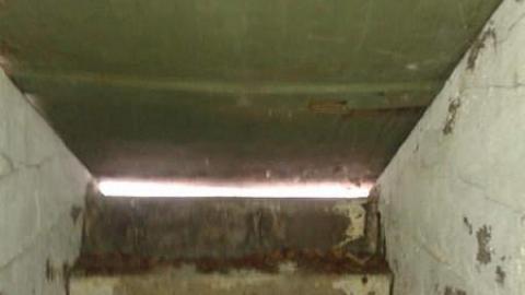 Christmas Time (Yet no snow) - Dont-Rent-a-Car16.jpg