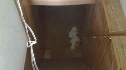 Christmas Time (Yet no snow) - Another-on-Hurontario5.jpg