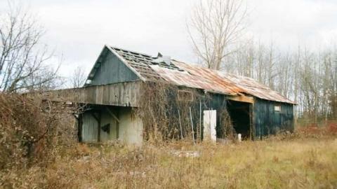 Lane-way '10 - 002_020.jpg