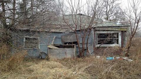 Reesor Rd. Collapsing Cottage - IMG_1650.jpg
