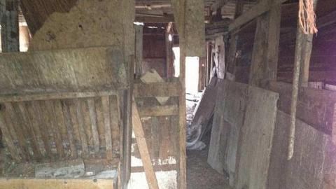 Reesor Rd. Collapsing Cottage - IMG_1660.jpg