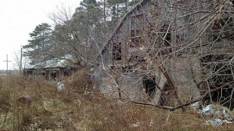 Reesor Rd. Collapsing Cottage - IMG_1661.jpg