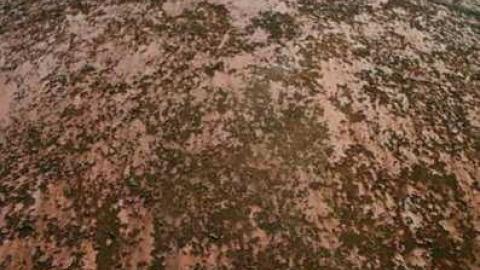 Lane-way '10 - 018_004.jpg