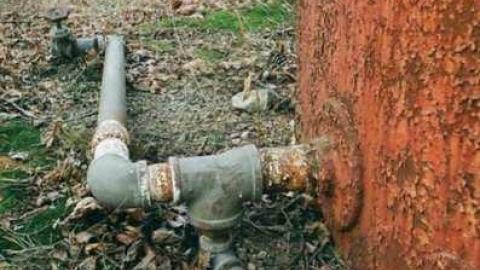 Lane-way '10 - 020_002.jpg