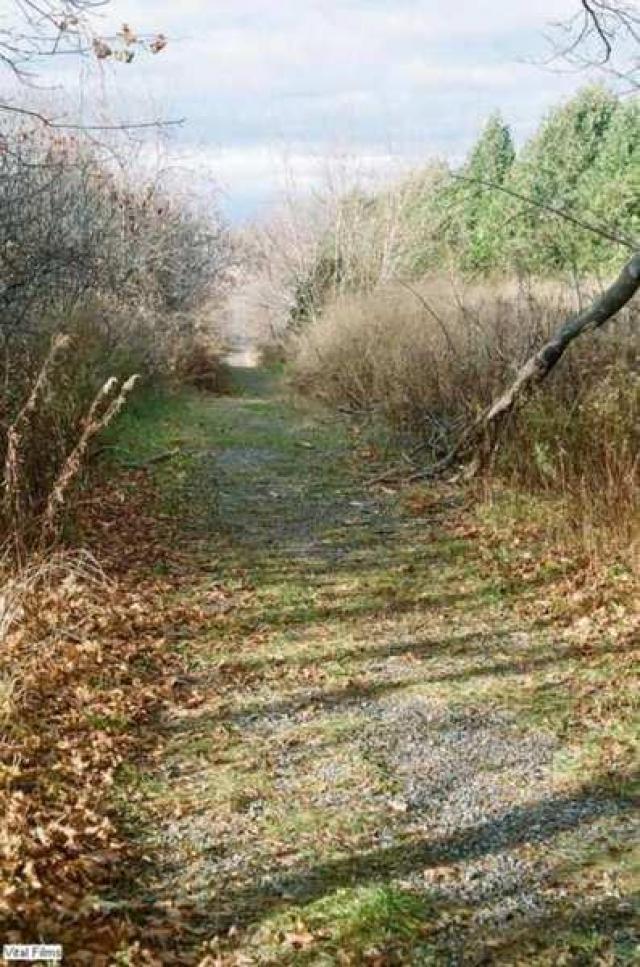 Old Finch Lane-way photo 5