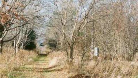 Lane-way '10 - 006_020.jpg