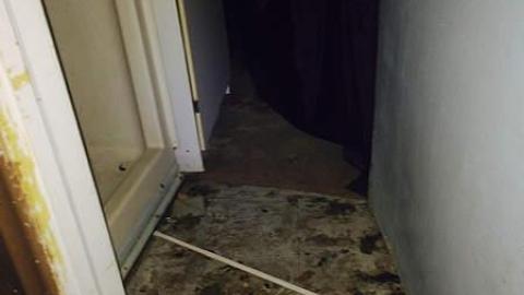 Outside and inside pictures - jzimage.jpg