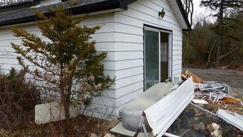 Stripped Bare photo 4