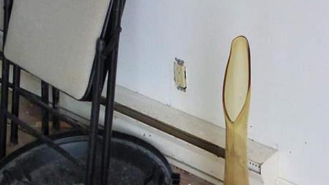 Stripped Bare photo 5