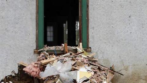 Stripped Bare photo 3