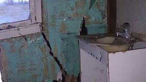 Inside and around the house - 10885177_749705181785087_3554376085458408236_n-1.jpg