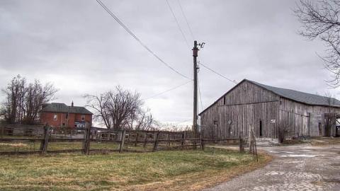 Ride at Your Own Risk - Animals-at-Large1.jpg