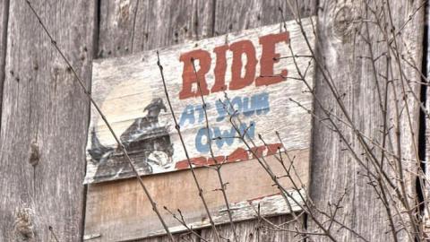 Ride at Your Own Risk - Animals-at-Large2.jpg