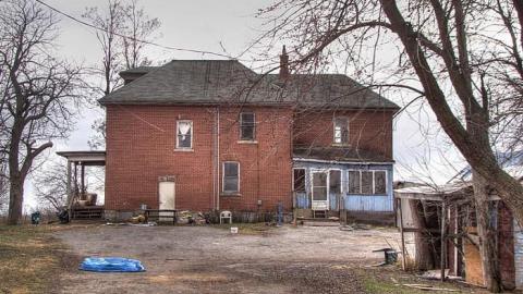 Ride at Your Own Risk - Animals-at-Large13.jpg