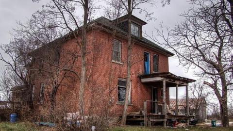 Ride at Your Own Risk - Animals-at-Large3.jpg