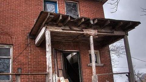 Animals at Large - Vaughan, Ontario