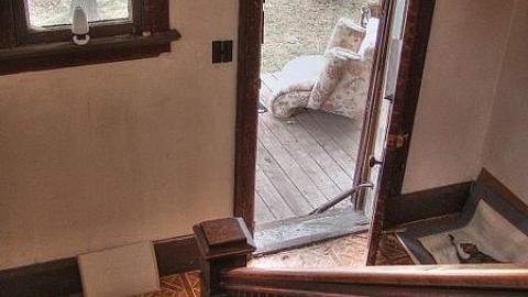 Ride at Your Own Risk - Animals-at-Large4.jpg