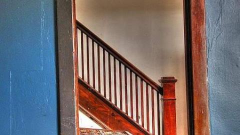 Ride at Your Own Risk - Animals-at-Large17.jpg