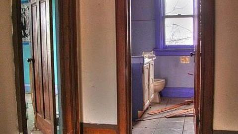 Ride at Your Own Risk - Animals-at-Large5.jpg