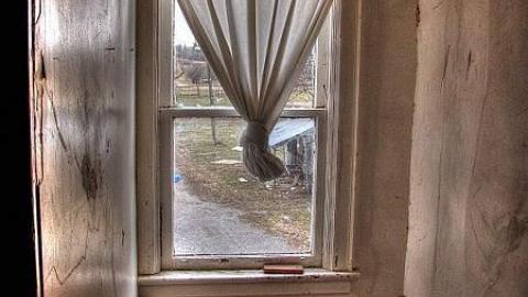 Ride at Your Own Risk - Animals-at-Large18.jpg