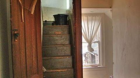 Animals at Large photo 3