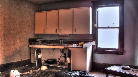 Ride at Your Own Risk - Animals-at-Large21.jpg