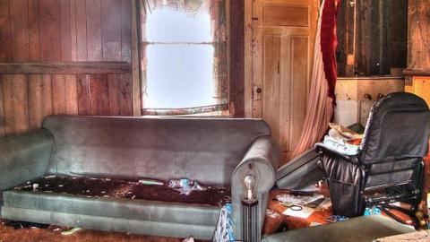 Ride at Your Own Risk - Animals-at-Large8.jpg