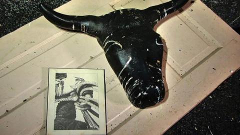 Ride at Your Own Risk - Animals-at-Large22.jpg