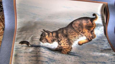 Ride at Your Own Risk - Animals-at-Large23.jpg