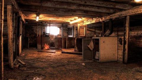 Ride at Your Own Risk - Animals-at-Large10.jpg