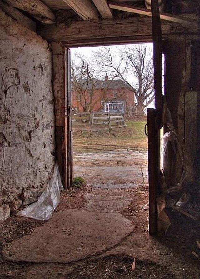 Animals at Large photo 5