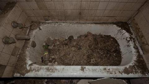 Sept. 2014 - Dunwich-Farmhouse8.jpg