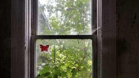 Photo from Sept. 2014