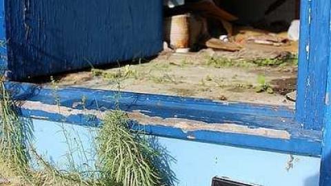 Welcome to Welcome - IMG_8436.jpg