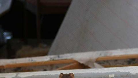 Welcome to Welcome - IMG_8496.jpg