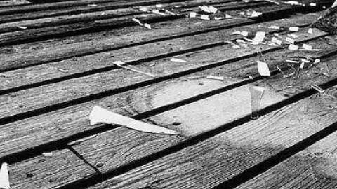 Welcome to Welcome - IMG_8530.jpg