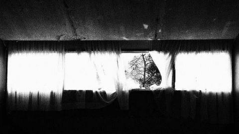 Welcome to Welcome - IMG_8532.jpg